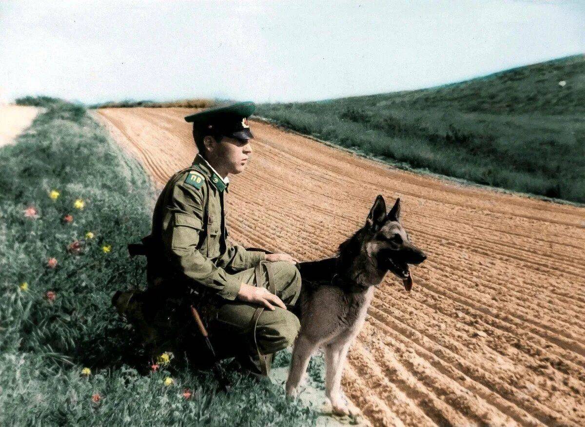 Собаки времен ссср. Пограничный пес алый. Пограничная застава СССР. Пограничники на заставе СССР. Пограничный пес алый актеры и роли.