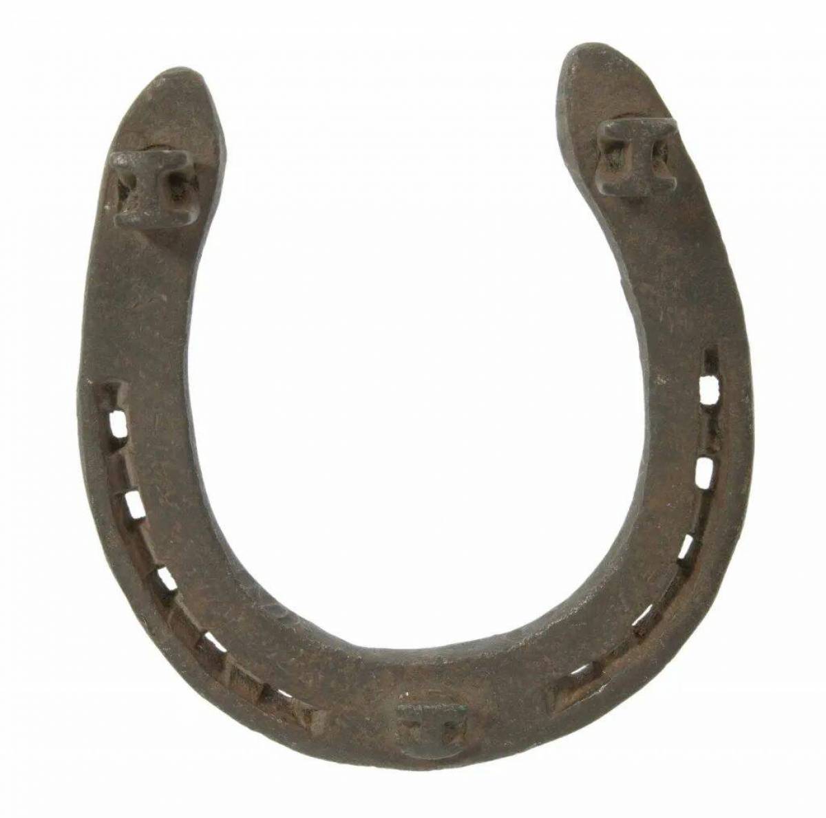 Horse shoe