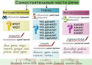 Раскраска по русскому языку 3 класс части речи #1 #448777