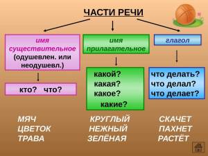 Раскраска по русскому языку 3 класс части речи #4 #448780