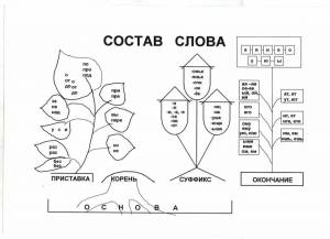 Раскраска по русскому языку 4 класс с заданиями #3 #448856