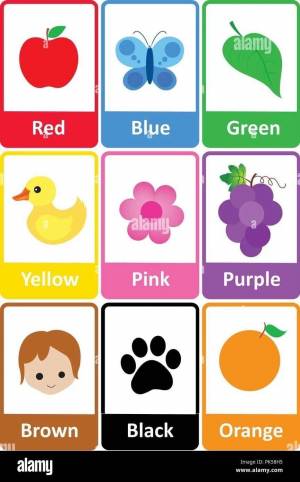 Раскраска по цветам для детей на английском #9 #449989