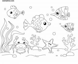 Раскраска подводный мир для детей 5 6 лет #1 #451182