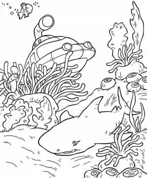 Раскраска подводный мир для детей 6 7 лет #10 #451230
