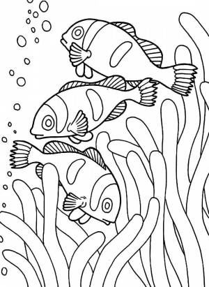 Раскраска подводный мир для детей 6 7 лет #18 #451238