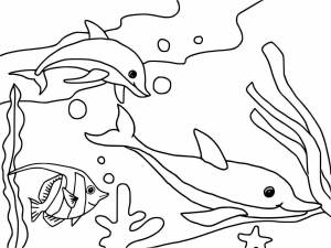 Раскраска подводный мир для детей 6 7 лет #25 #451245