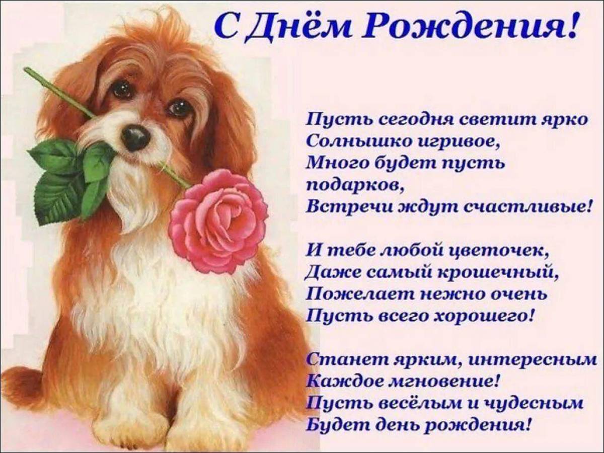 Картинки Поздравление с днем рождения (39 шт.) - #5227