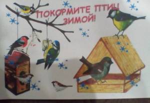 Раскраска покормите птиц зимой для детей #2 #453386