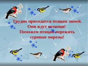 Раскраска покормите птиц зимой для детей #4 #453388