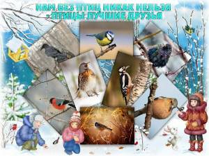 Раскраска покормите птиц зимой для детей #15 #453399