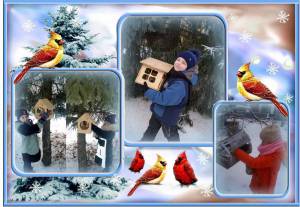 Раскраска покормите птиц зимой для детей #20 #453404
