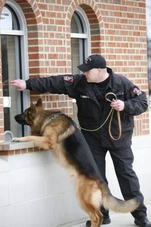 Раскраска полицейская собака #22 #454000