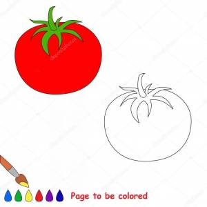 Раскраска помидор для детей 2 3 лет #30 #454856