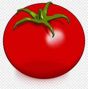 Раскраска помидор для детей 2 3 лет #32 #454858