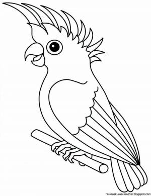 Раскраска попугай для детей 3 4 лет #1 #455972