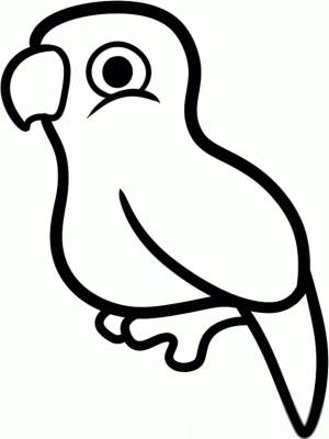 Раскраска попугай для детей 3 4 лет #4 #455975