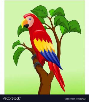 Раскраска попугай для детей 3 4 лет #7 #455978