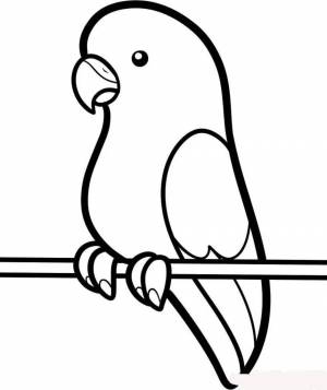 Раскраска попугай для детей 3 4 лет #21 #455992