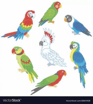 Раскраска попугай для детей 3 4 лет #22 #455993