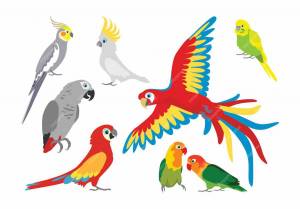 Раскраска попугай для детей 3 4 лет #24 #455995