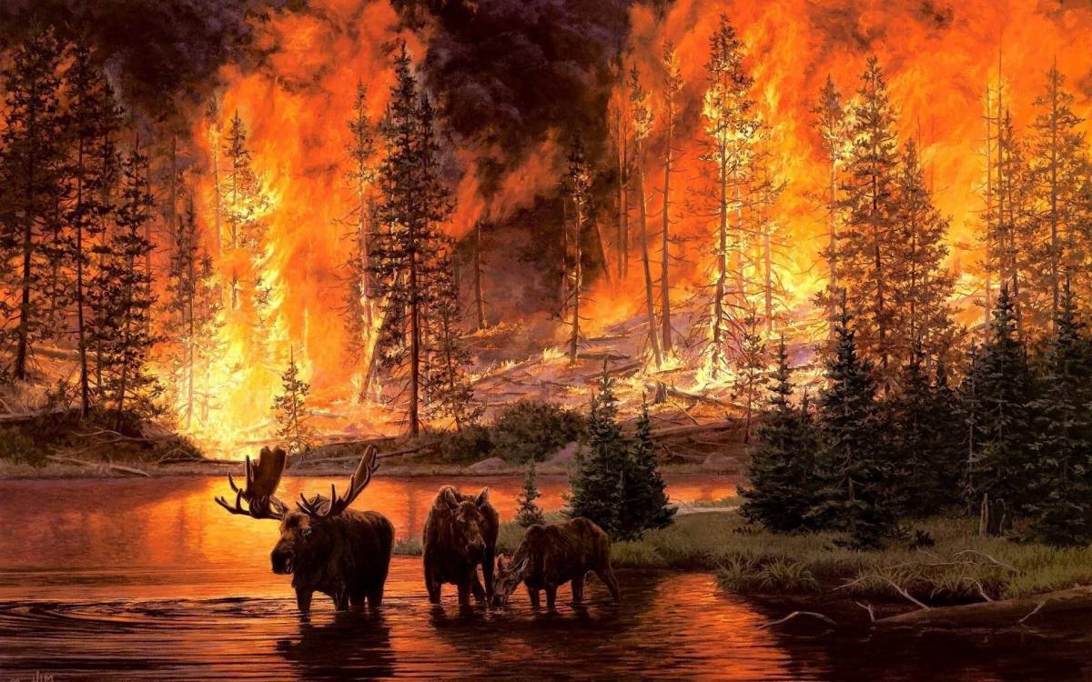 Пожар в лесу #36