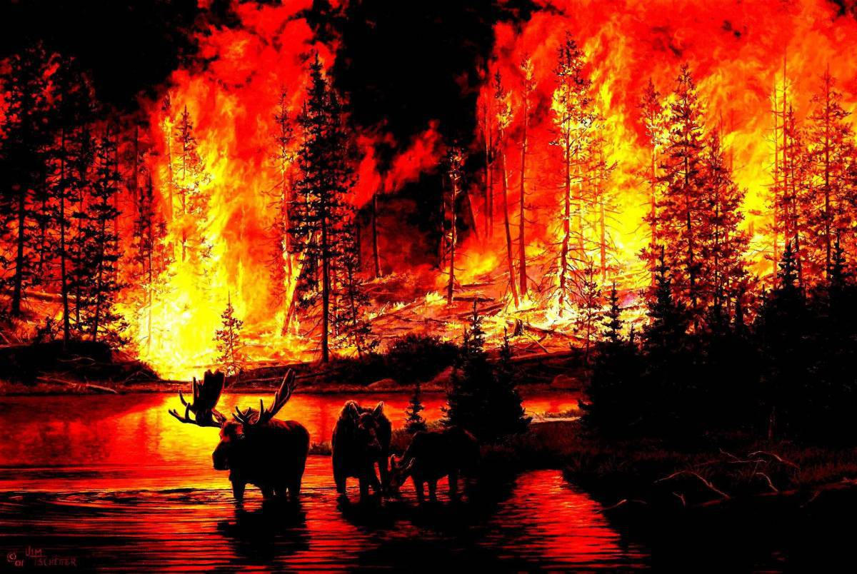 Пожар в лесу #39