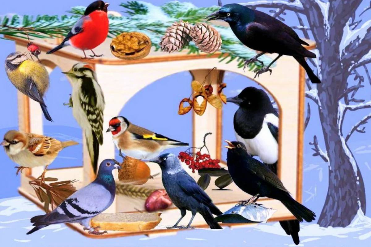 Покормите птиц зимой для детей #25