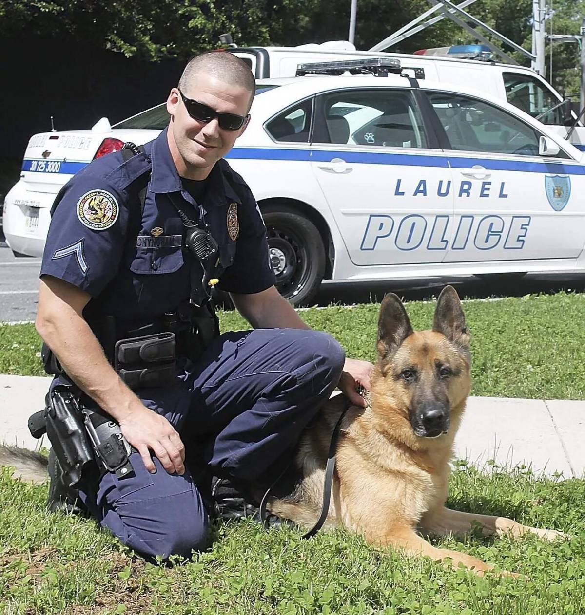 Полицейская собака #5