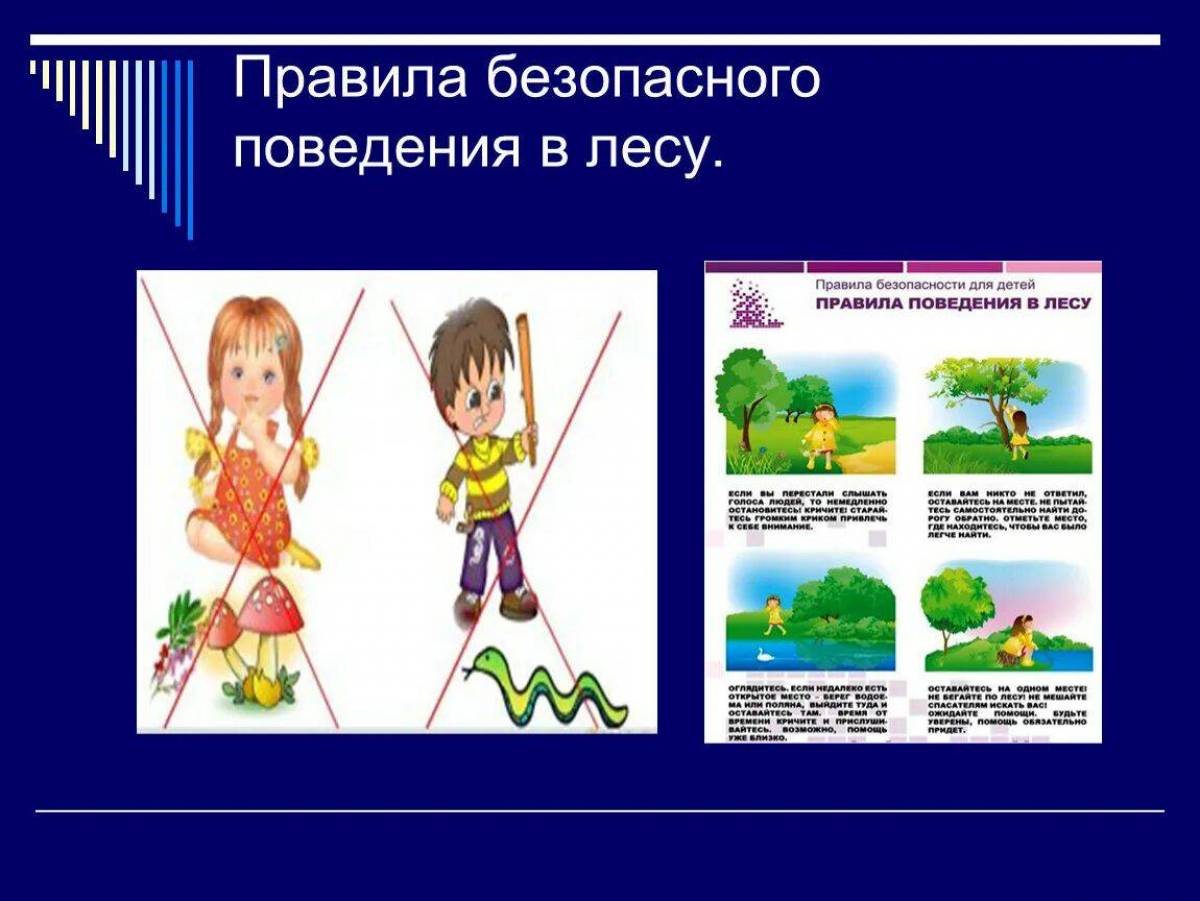 Правила безопасного поведения в лесу 1 класс перспектива презентация