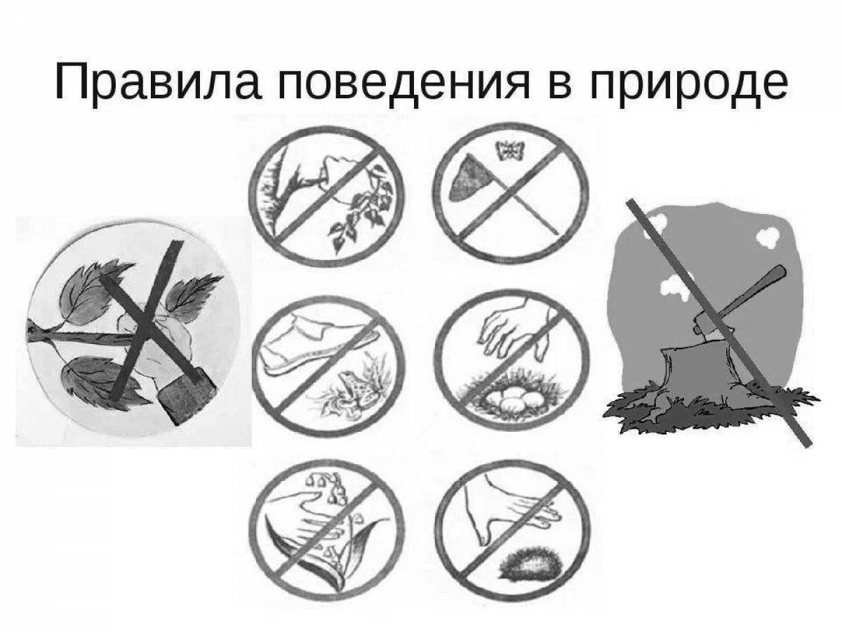 Раскраска правила поведения в природе для детей. Подпиши знаки охраны природы раскрась 2 класс. Экологические знаки для детей. Подпиши знаки охраны природы раскрась 2 класс. Раскраска береги природу для детей.