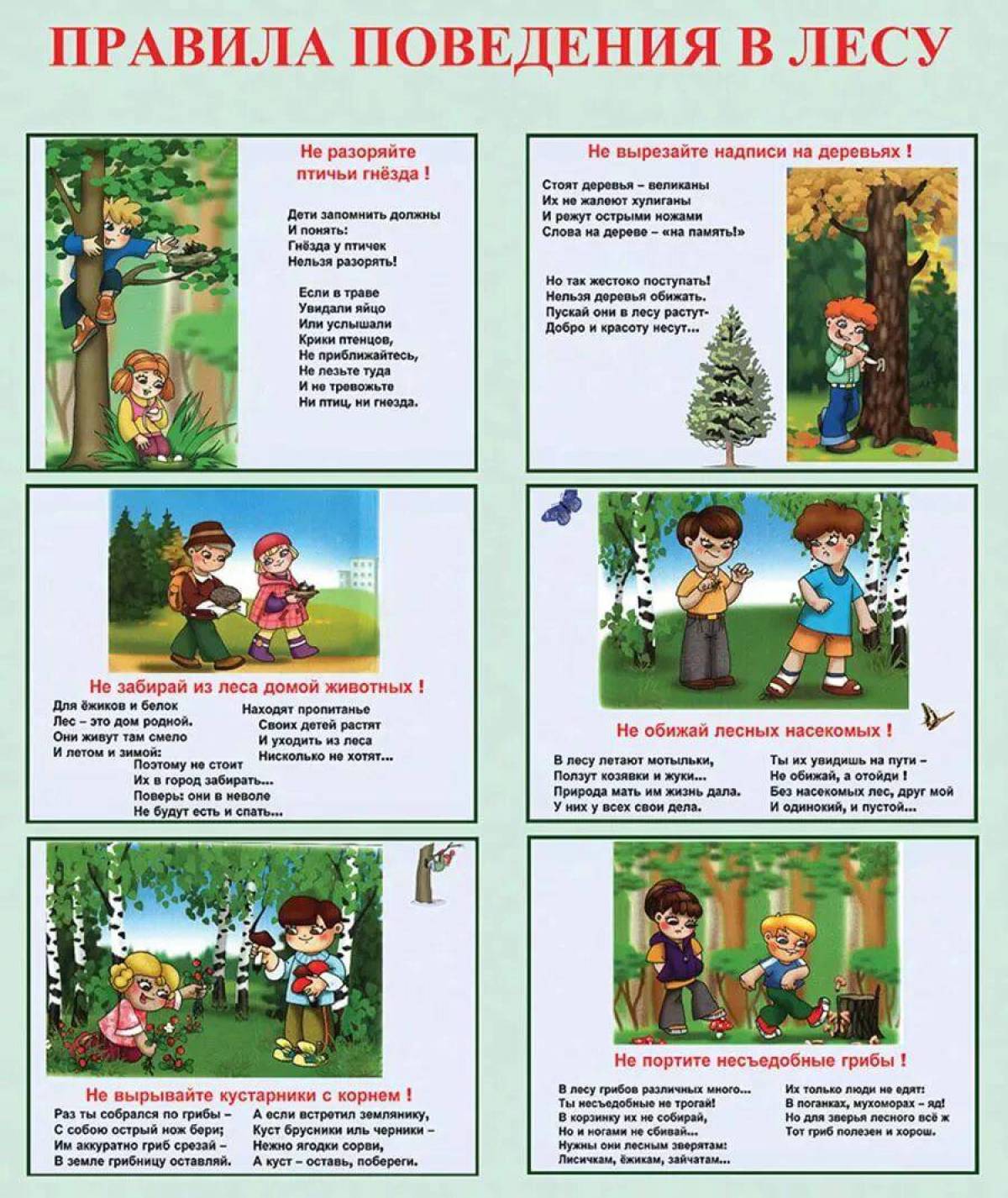 Безопасность на отдыхе на природе. Памятка правила поведения в лесу. Правила поведения в лесу и на природе. Правила безопасного поведения в лесу для дошкольников. Правила поведения в Дему.