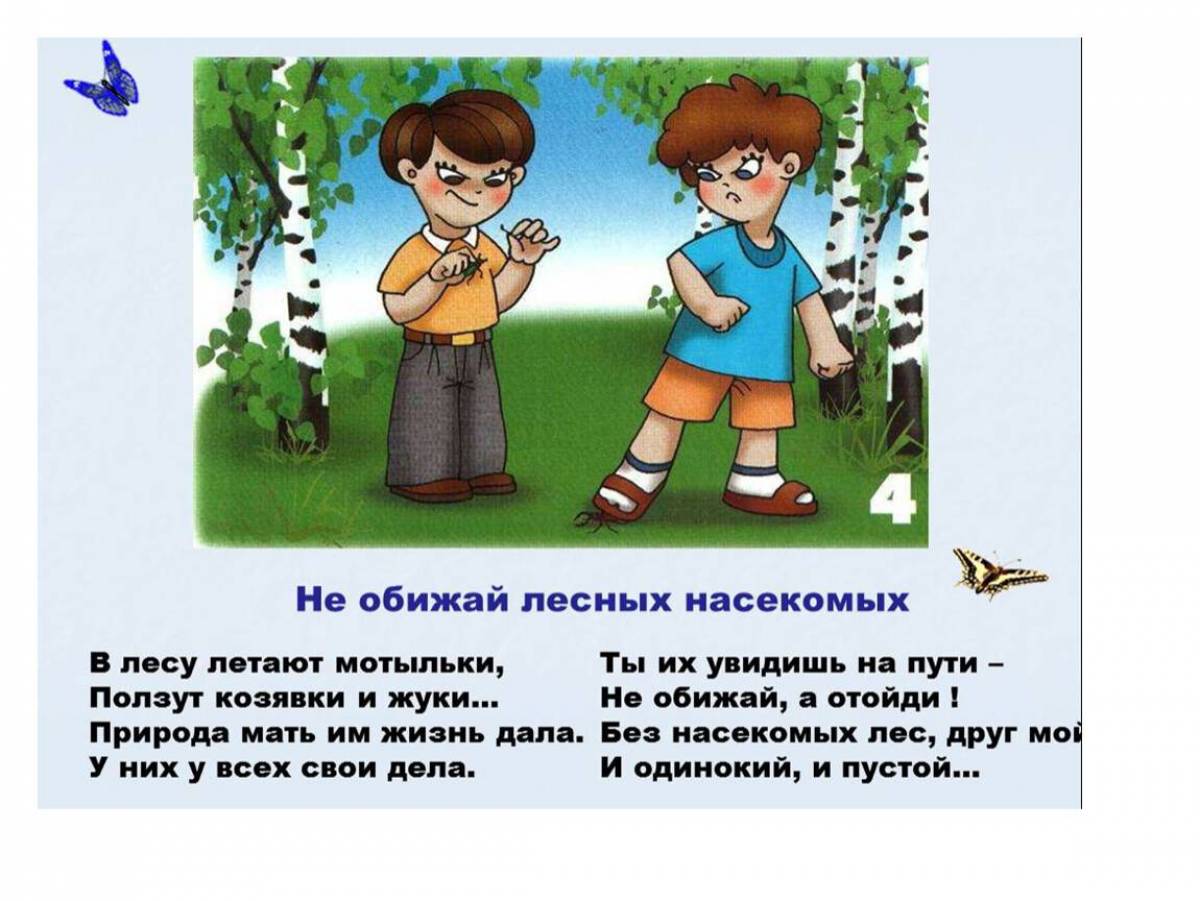 На природе нельзя. Правила поведения в лесу. Правила поведения на природе. Поведение в лесу для детей. Поведение в природе для дошкольников.