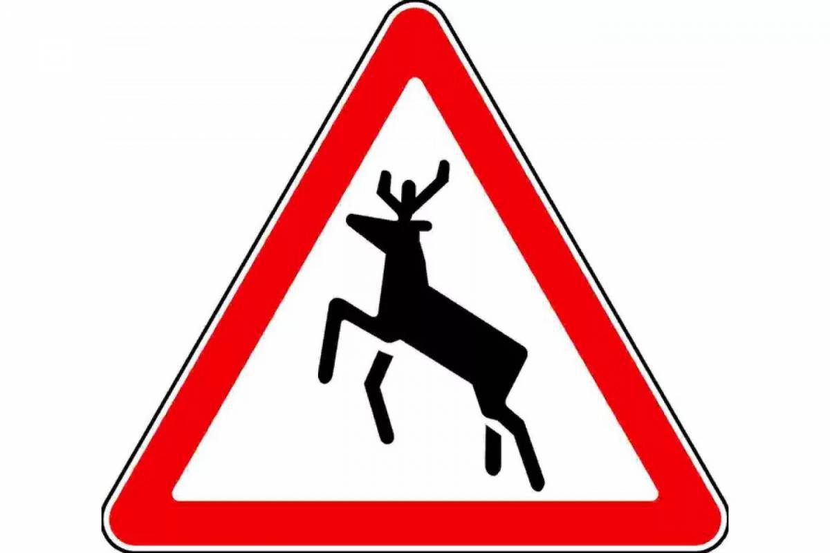 Что означает знак оленя. Знак Дикие животные. Дорожный знак олень. Знак Дикие животные на дороге. Предупреждающие дорожные знаки для детей.
