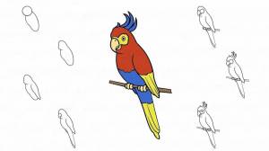 Раскраска попугай для детей 3 4 лет #31 #456002