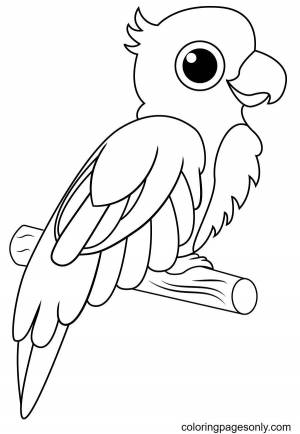 Раскраска попугай для детей 3 4 лет #34 #456005