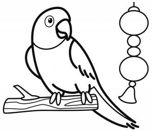 Раскраска попугай для детей 3 4 лет #36 #456007