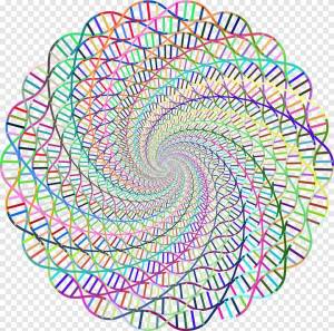 Раскраска приложение для создания спиральной #18 #459158