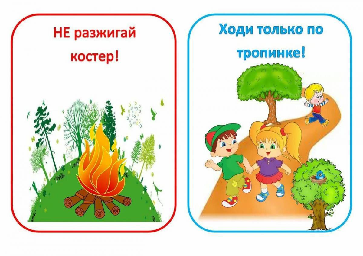 Что нельзя делать на природе в картинках