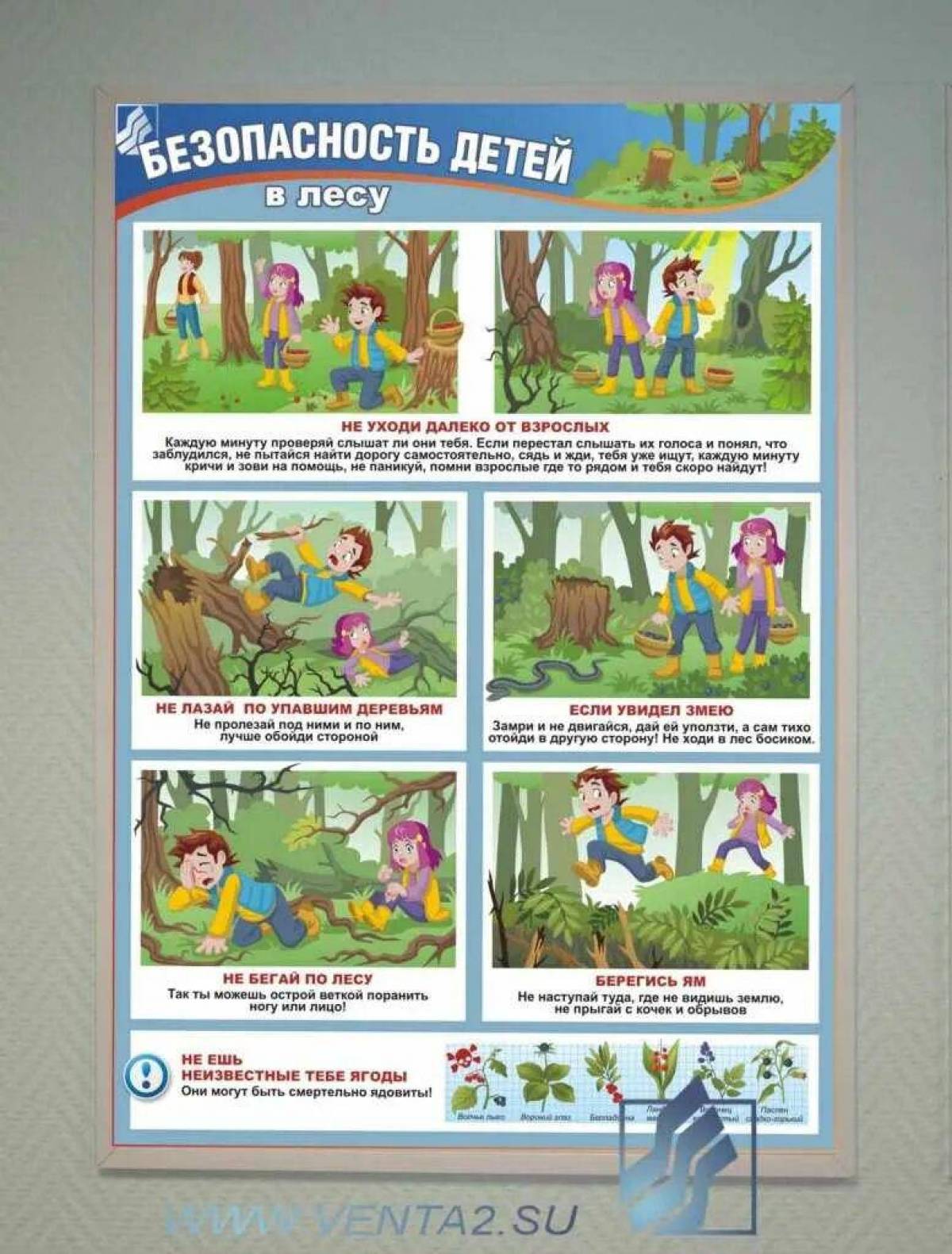 Составить памятку поведение в лесу. Безопасность в лесу для детей. Привали поведения в лесу. Безопасность в лесу для дошкольников. Правило безопасного поведения в лесу.