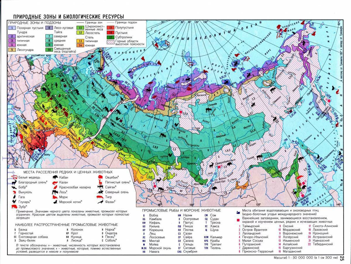 Природные зоны российской федерации карта