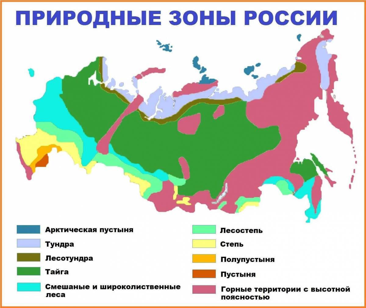 Природные Зоны России Рисунок