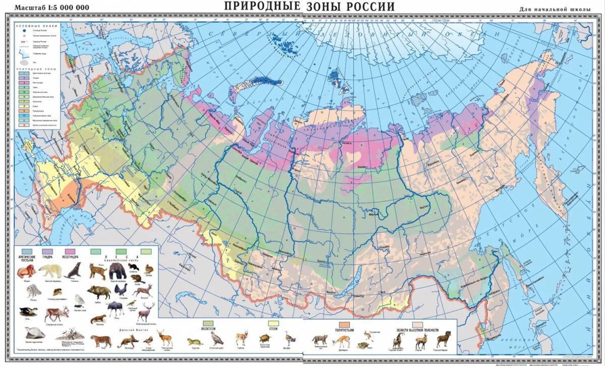 Картинка природные зоны россии 4 класс окружающий мир