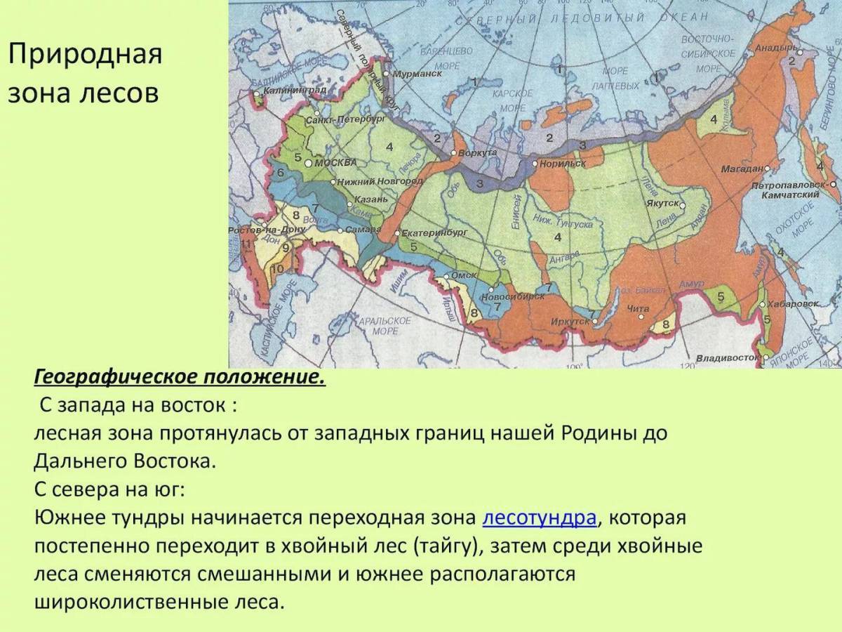 Почему рисунок называется природно хозяйственные зоны россии