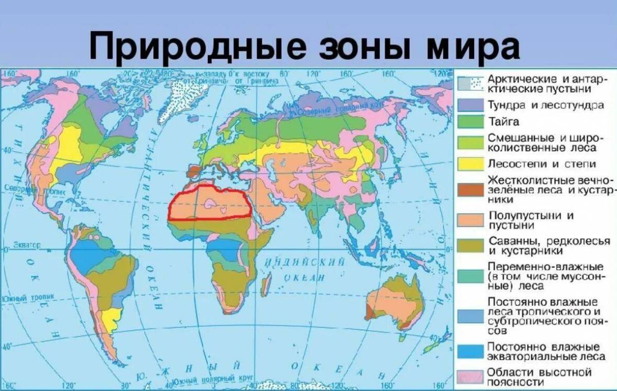 Нанесите на контурную карту природные зоны. Природные зоны земли карта.