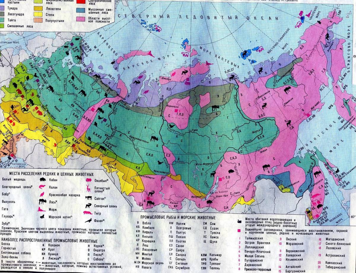 Карта растительности россии 8 класс