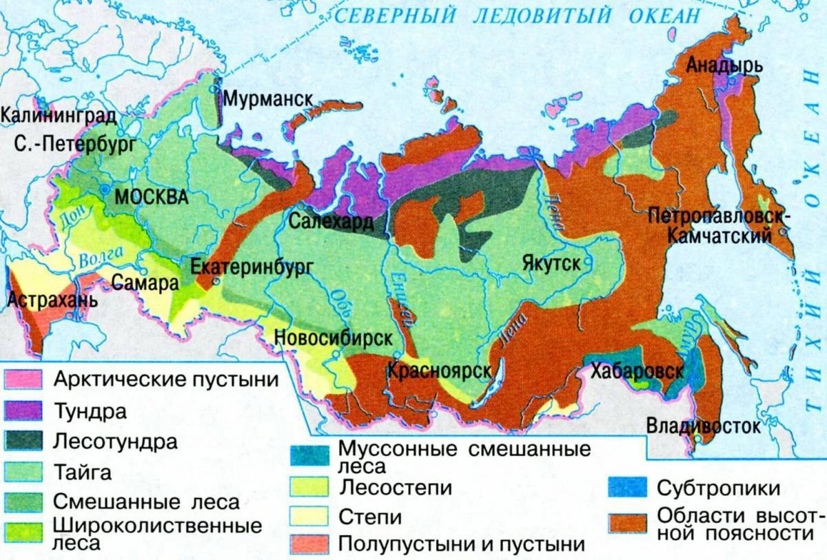 Презентация лесные зоны 8 класс полярная звезда