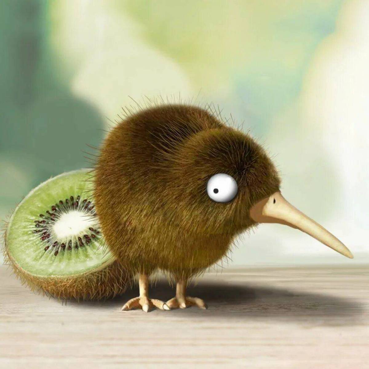 Kiwi orchestra. Киви-киви птица. Птица киви и фрукт киви. Северный бурый киви. Киви птица клюв.