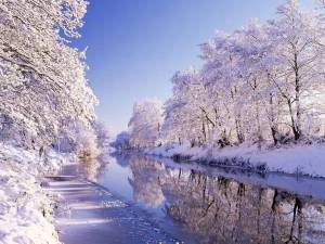 Раскраска природа зимой #12 #460956