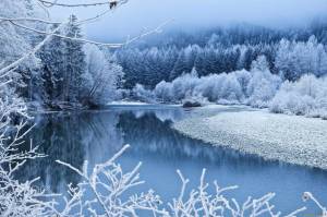 Раскраска природа зимой #31 #460975