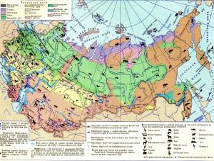 Раскраска природные зоны россии #6 #461135